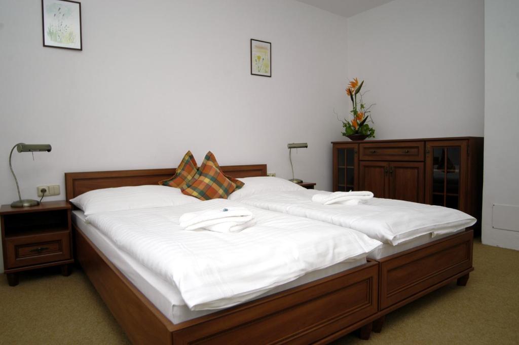 Hotel Loucky Litvínov Cameră foto